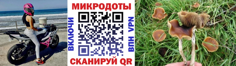 Галлюциногенные грибы прущие грибы  Волчанск 